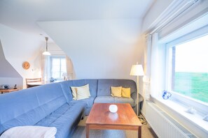 Fernseher, Stereoanlage