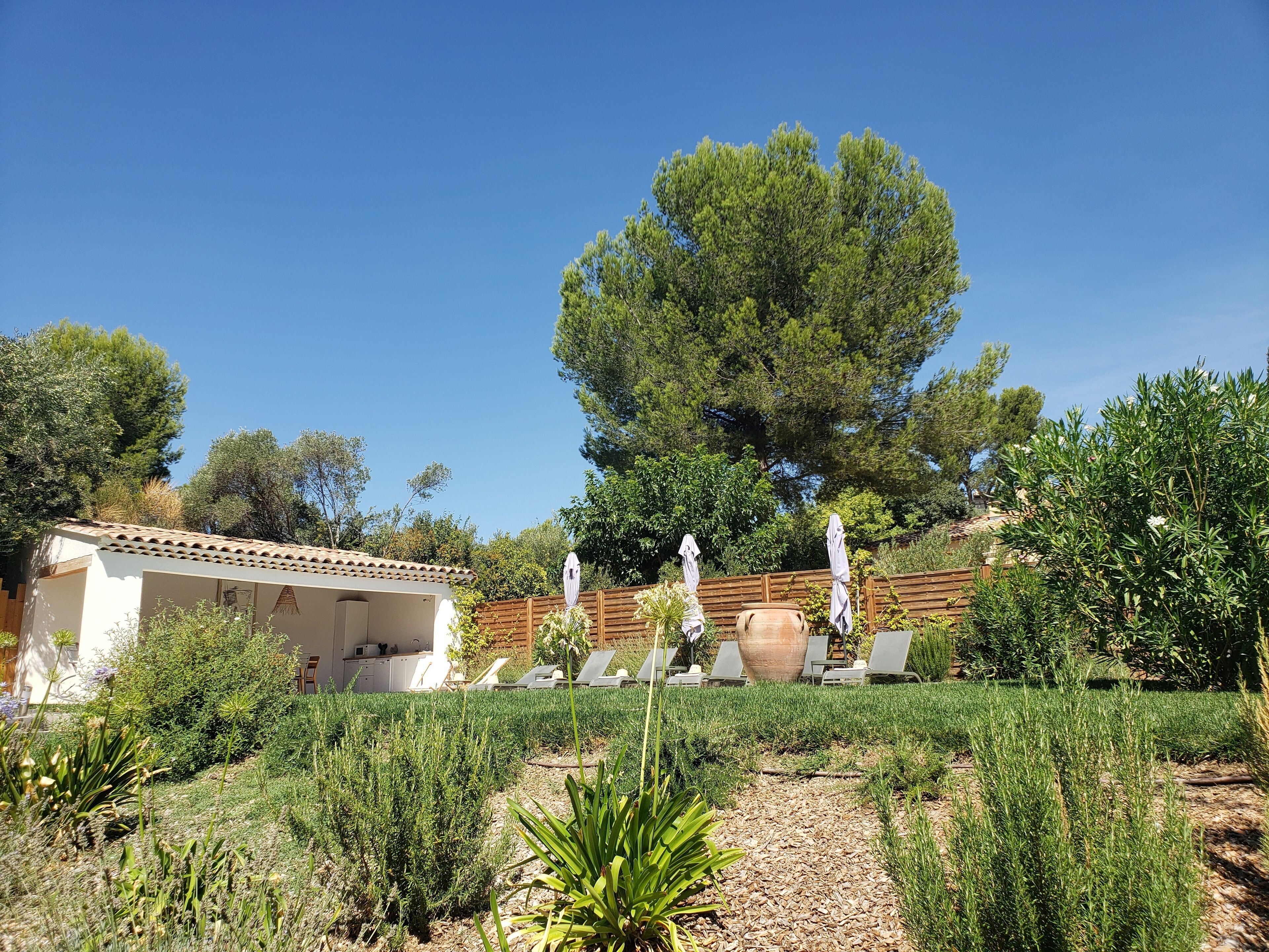 Un jardin agrémenté d’une pergola, d’un espace salon extérieur et d’un grand arbre.