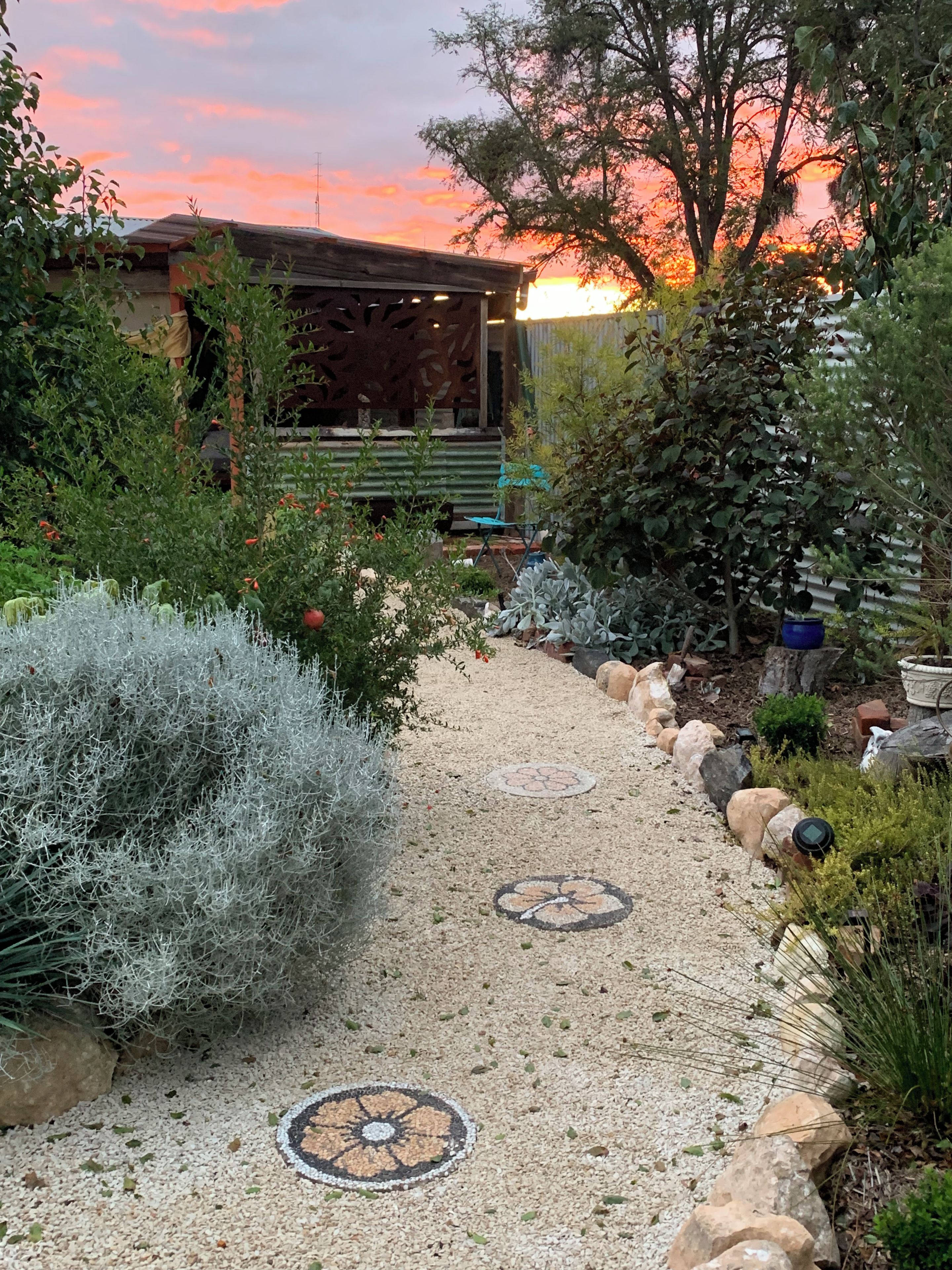 A garden pathway with decorative tiles, surrounded by various plants and a bench.