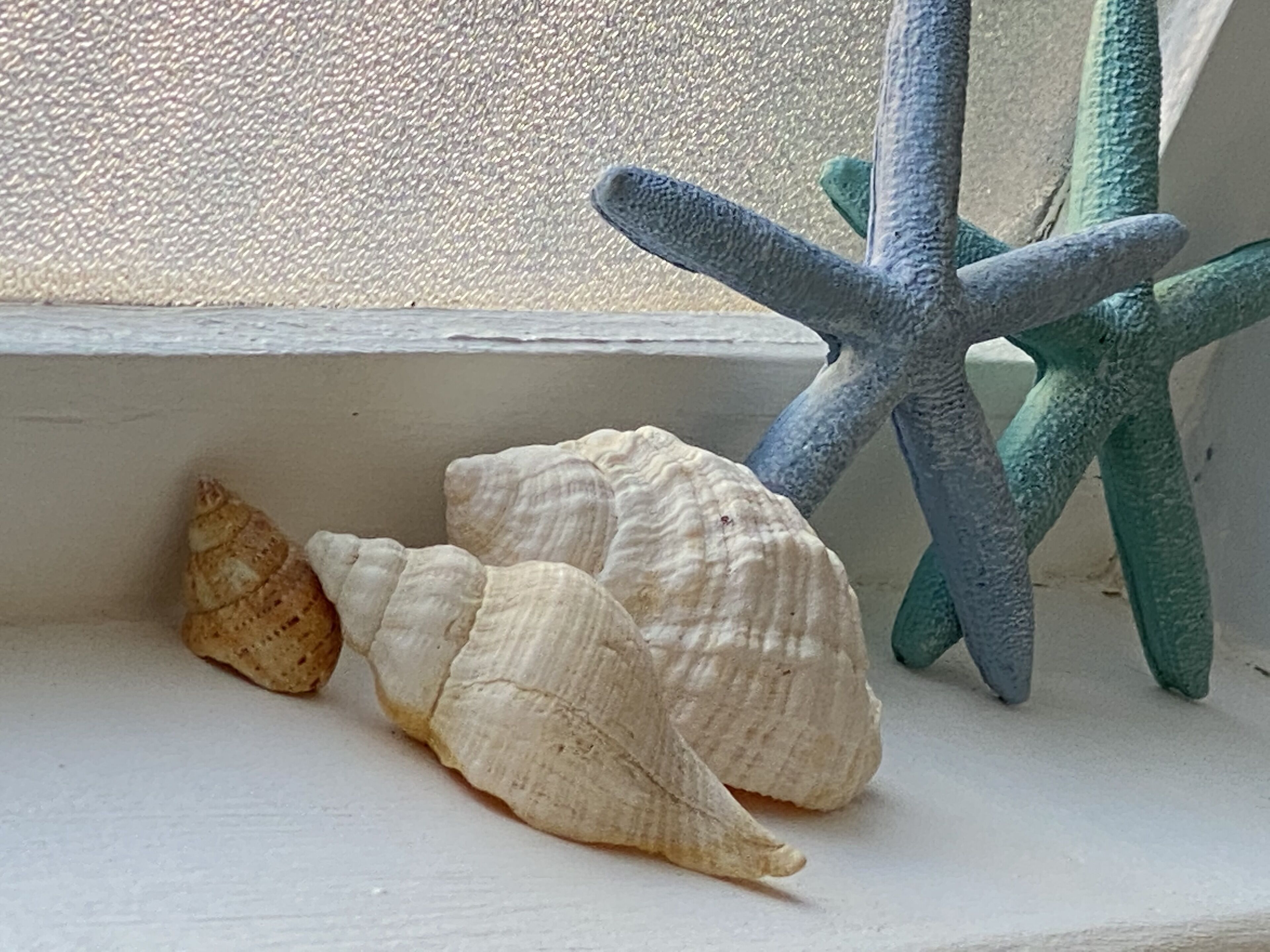 Caroline Cottage Historic Moonta Township — image 15