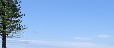 Beach nearby, sun-loungers