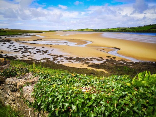 The Snuggly Sheep Shepherd Hut Campview Farm Stay