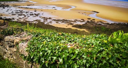The Snuggly Sheep Shepherd Hut Campview Farm Stay