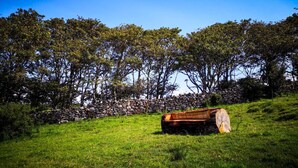 A stone wall, a wooden bench, and a grassy field with trees in the background. - The Snuggly Sheep Shepherd Hut & Sauna Farm Stay (Ballyshannon)
