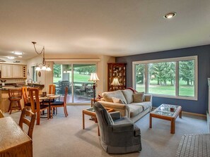 TV, fireplace, books, video library