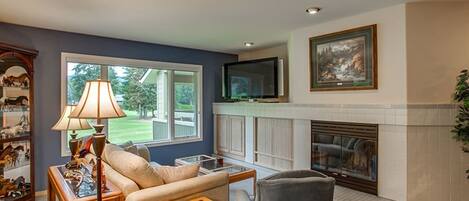 TV, fireplace, books, video library