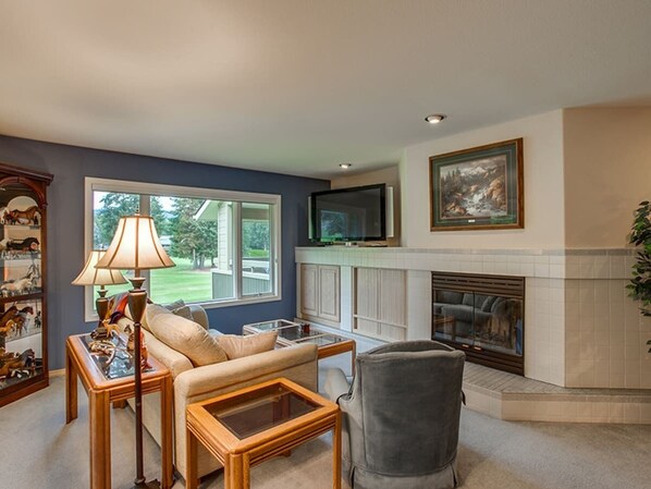 TV, fireplace, books, video library