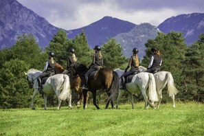Een groep mensen te paard in een grasveld, met bergen op de achtergrond.