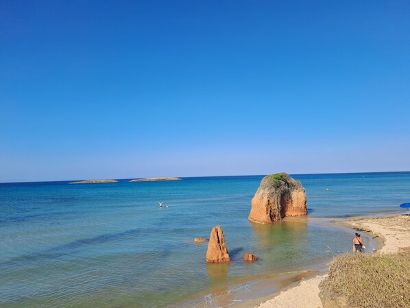 Beach nearby - Virginia Country house with pool in the reserve of Torre Guaceto Specchiolla (Puglia)