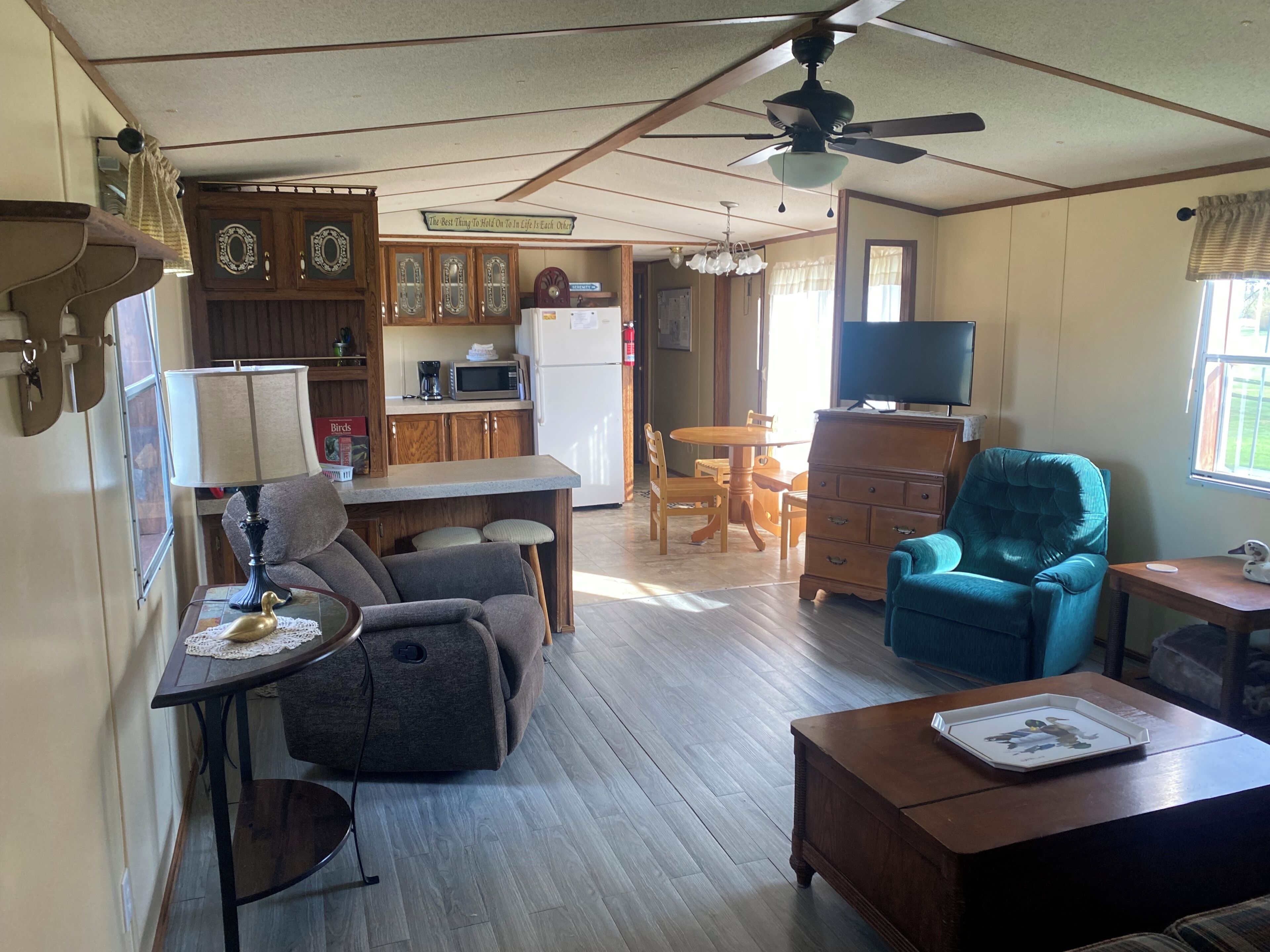 Smart TV, DVD player, video library