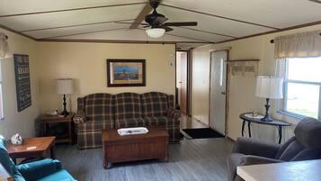 Smart TV, DVD player, video library