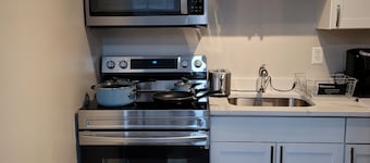 Appartement haut de gamme 1 chambre au sous-sol