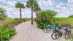Un chemin de gravier bordé de palmiers et de verdure, avec des vélos garés le long du chemin.