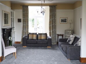 Smart TV, fireplace, DVD player, books