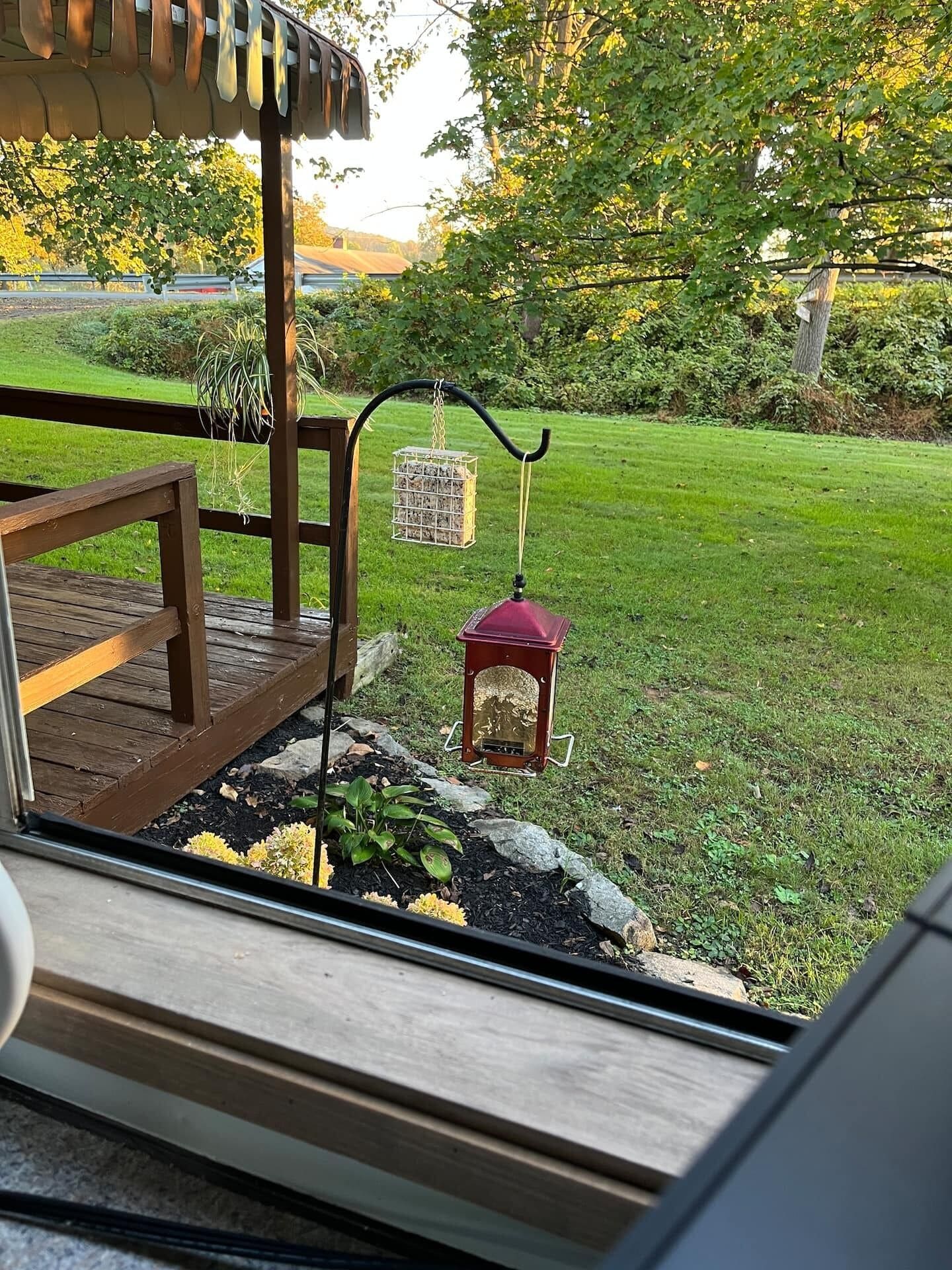 A wooden deck with a bench, a hanging bird feeder, and a lantern on the grass.