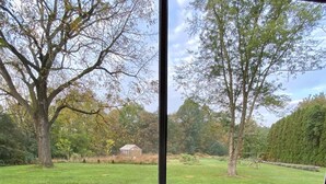 Une vue par la fenêtre, avec un évier et une bouteille verte de liquide vaisselle Dawn.