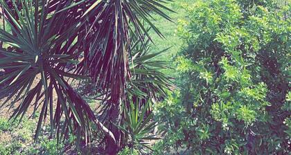 Beach house
