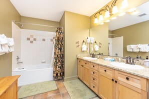 Combined shower/tub, hair dryer, towels, soap