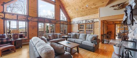 Smart-tv, een open haard, boeken en een muziekbibliotheek