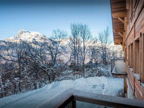 Property grounds - Chalet Woodman - alpine base for 14, spa and summer pool - OVO Network (Saint-Gervais-les-Bains)