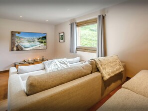 Télévision, cheminée, jeux vidéo, chaîne hi-fi