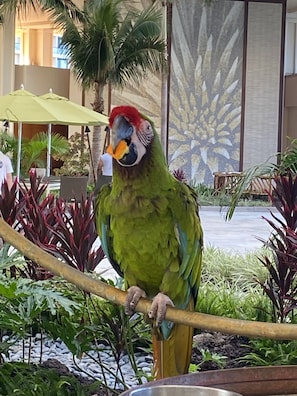 Parco della struttura