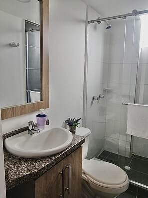 Shower, hair dryer, towels