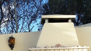 Un four en briques installé à l’extérieur, doté d’une cheminée, un pot de fleurs et un chien sur une terrasse carrelée.