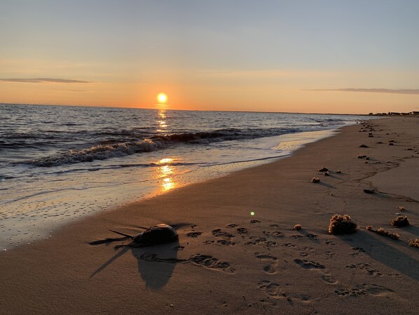 靠近海滩、沙滩椅