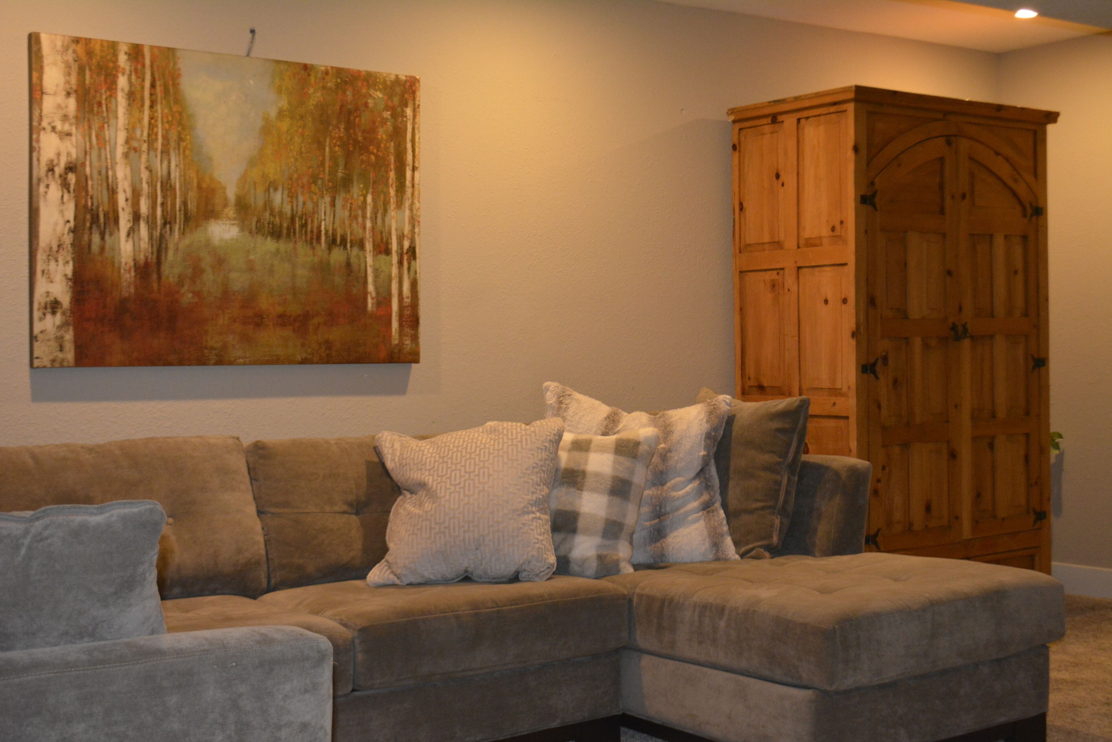 TV connectée, cheminée, jeux vidéo, chaîne hi-fi