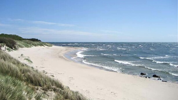 A beach with a sandy shore and grassy dunes. - 2 bedroom stunning home in Aakirkeby (Aakirkeby)