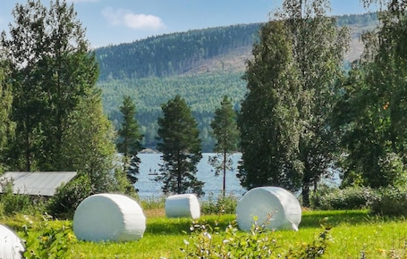 Property grounds. Gorgeous home in Karlsviken