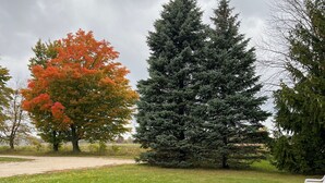 A park with a grassy area, a bench, and trees with autumn foliage. - 2 Bedrooms - Room to park boat! - Close to water & Potawatomi State Park (Sturgeon Bay)