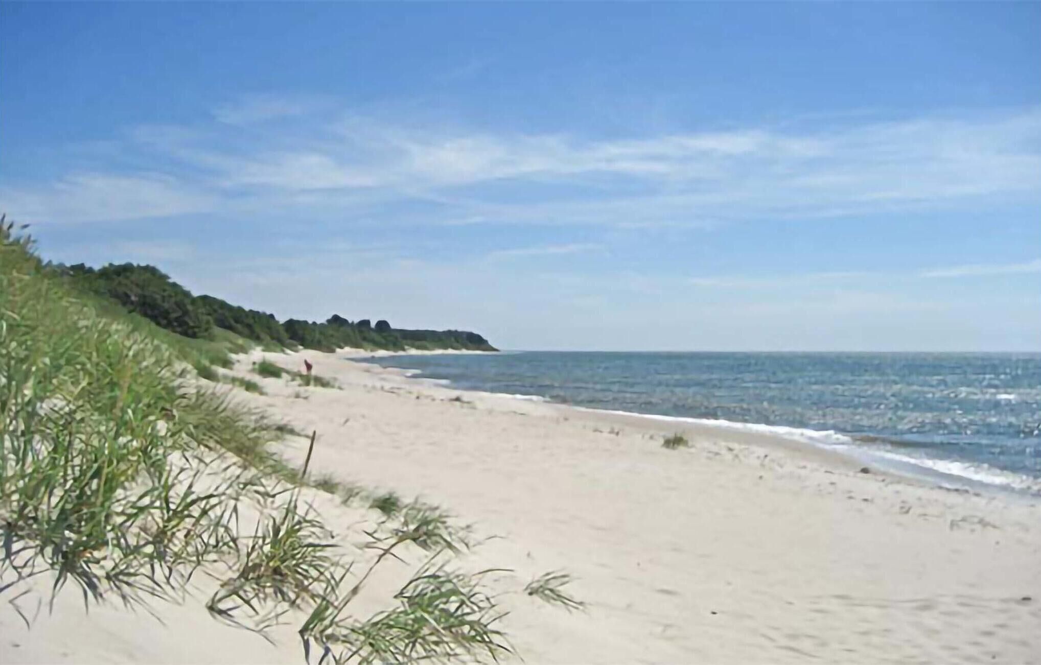 بالقرب من الشاطئ