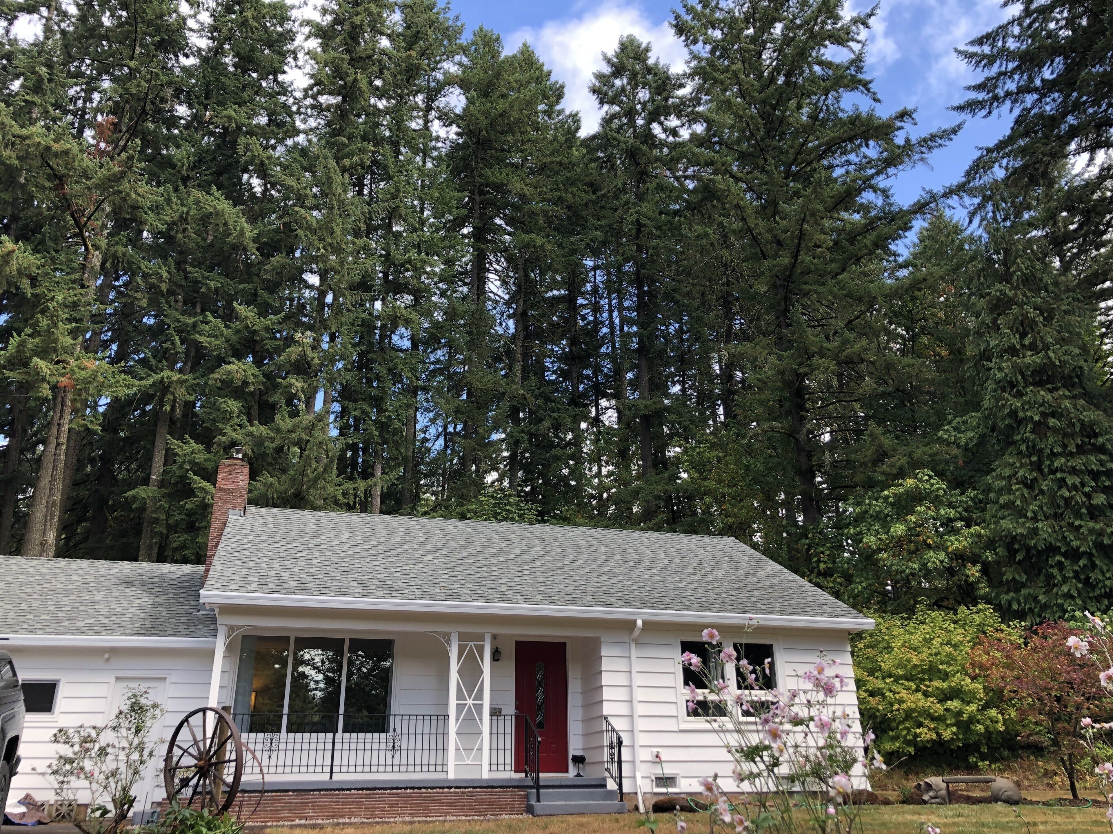 Unplug and relax in wooded, secluded setting