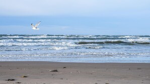 海滩