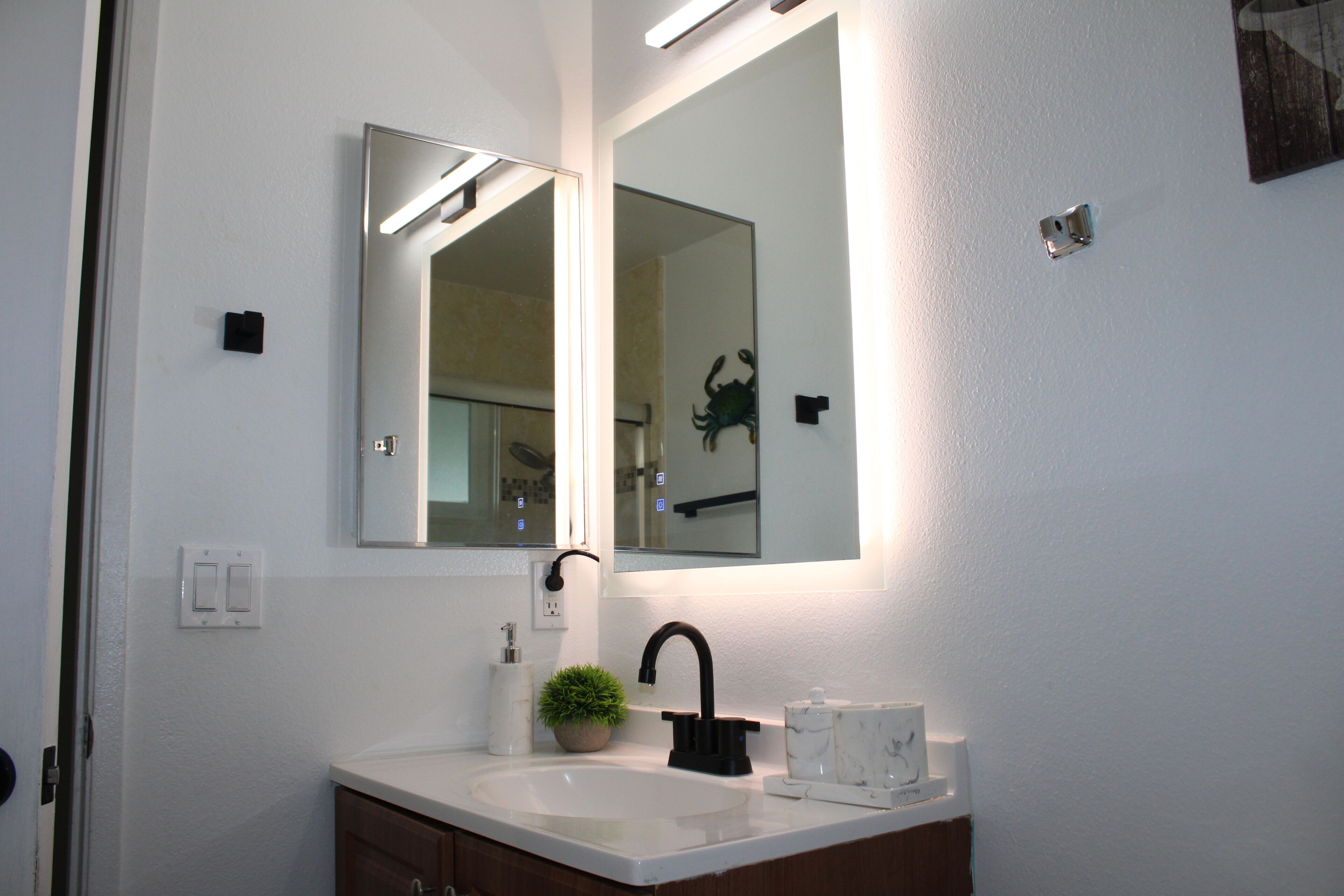 Une salle de bain avec un lavabo blanc, un robinet noir et un miroir au-dessus. On y trouve une petite plante sur le comptoir et un distributeur de savon.