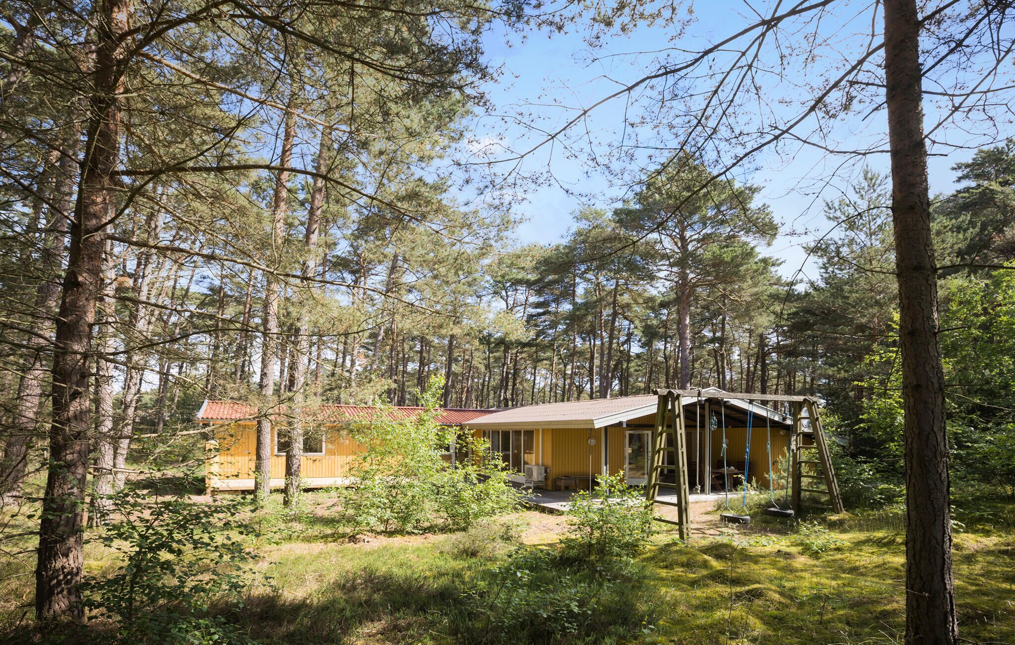 A cabin surrounded by tall pine trees, with a red roof and a porch area.