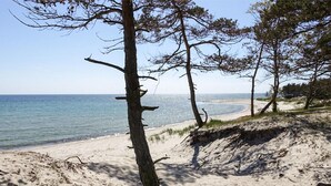 Une plage avec un rivage sablonneux, des arbres et une vue dégagée sur l’océan.
