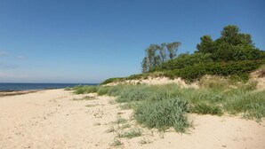 Une plage de sable avec une végétation clairsemée et un ciel bleu dégagé.