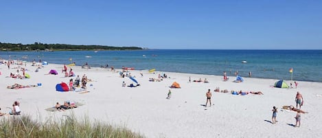 Ranta