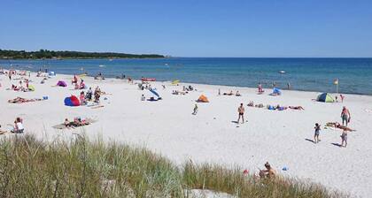 Pet friendly home in Nexø with WiFi