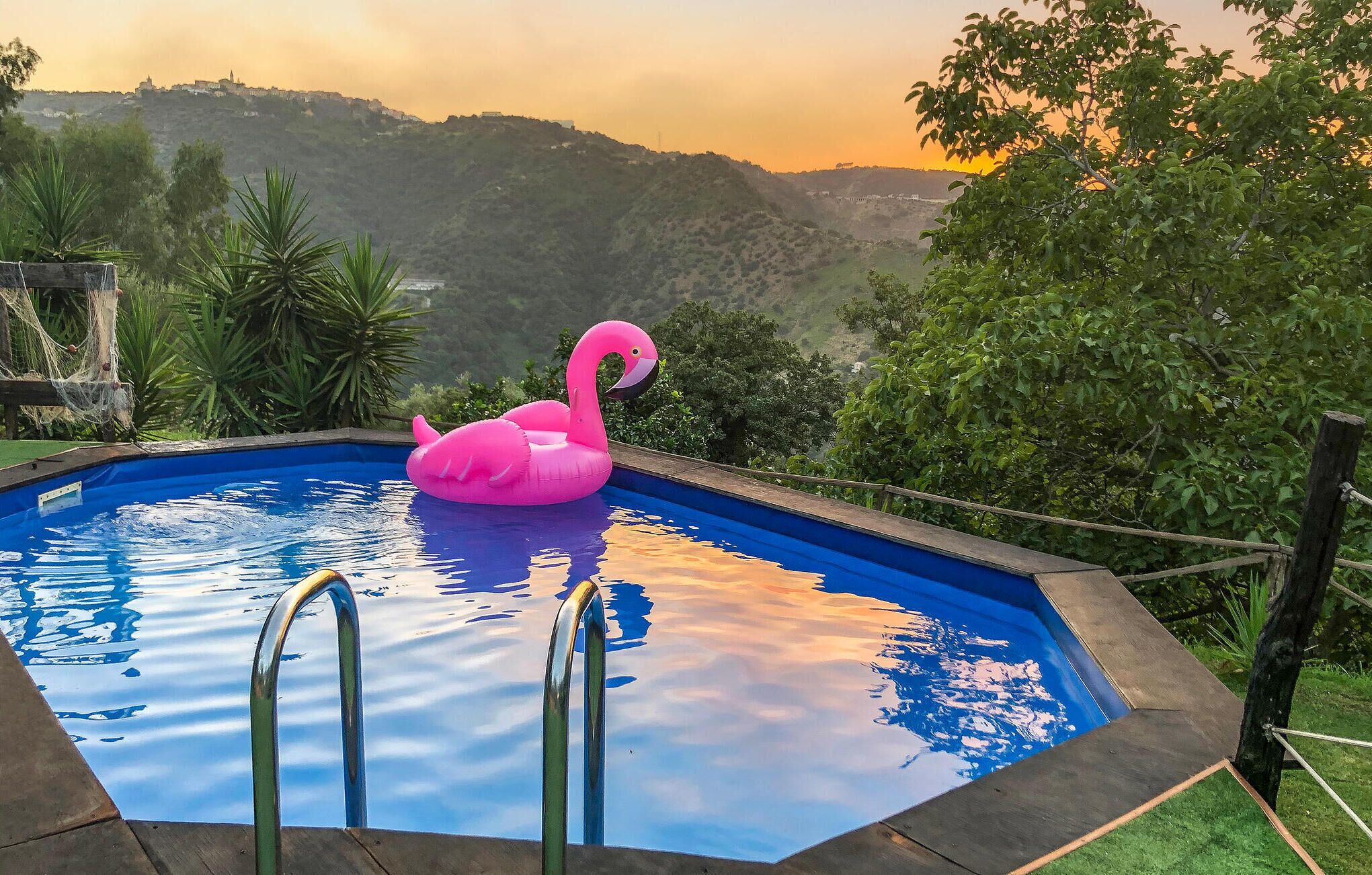 A swimming pool with a pink flamingo float, surrounded by greenery and hills in the background.