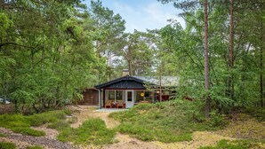 A rustic cabin surrounded by dense forest, with a dirt path leading to the entrance.
