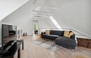 Fernseher, Kamin