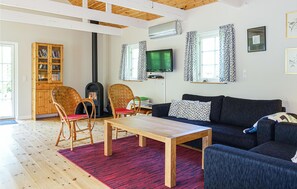 Télévision, cheminée, lecteur de DVD