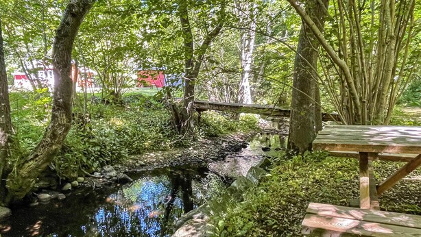 Et naturskønt område med en lille å, en træbro og et picnicbord.