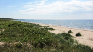En strand med grøn vegetation og en klar himmel.
