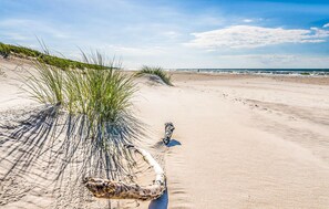 Una playa arenosa con poca vegetación y un cielo despejado.