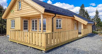 3 bedroom amazing home in Sjusjøen